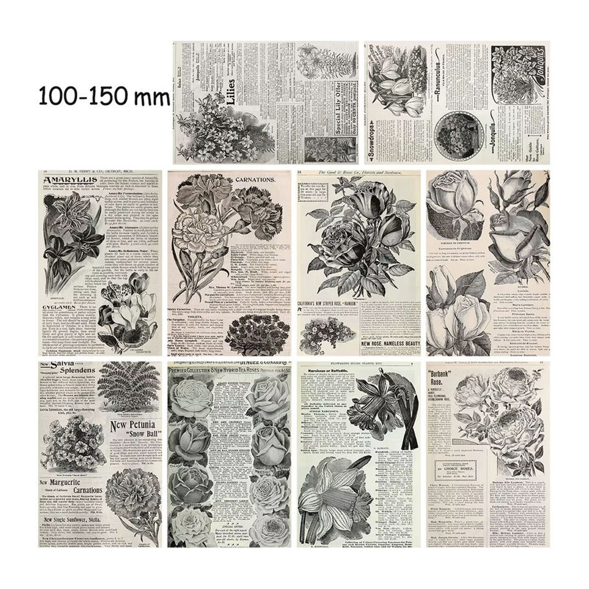 10er Set Retro Blumen Aufkleber im Vintage Design für Laptop, Skateboard und Wanddekoration, mehrfarbig - Bild 3
