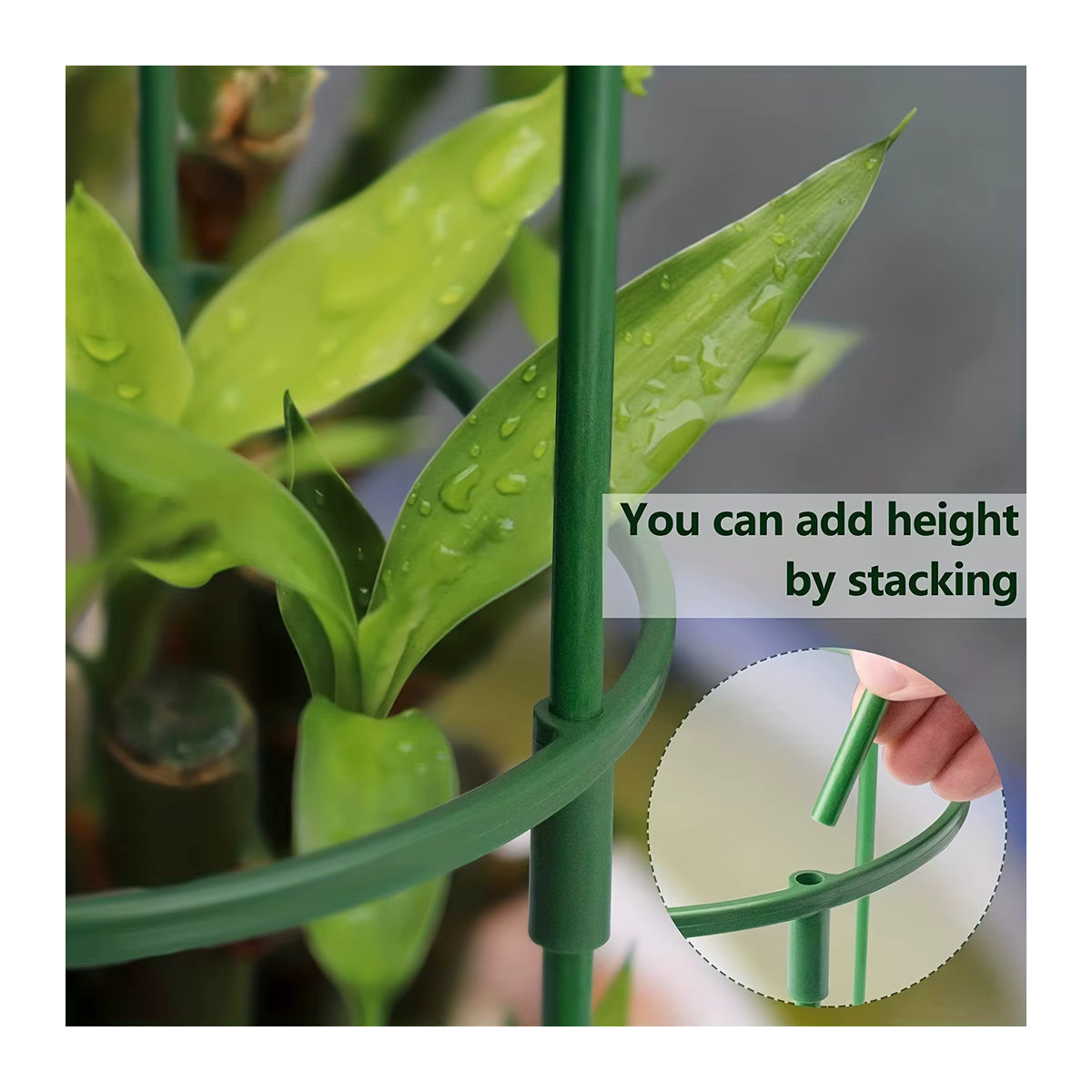 12/20 Stück halbrunde Pflanzenstützpfähle für Innen- und Außenpflanzen wie Tomaten, Monstera, Pfingstrosen und Hortensien - Bild 3