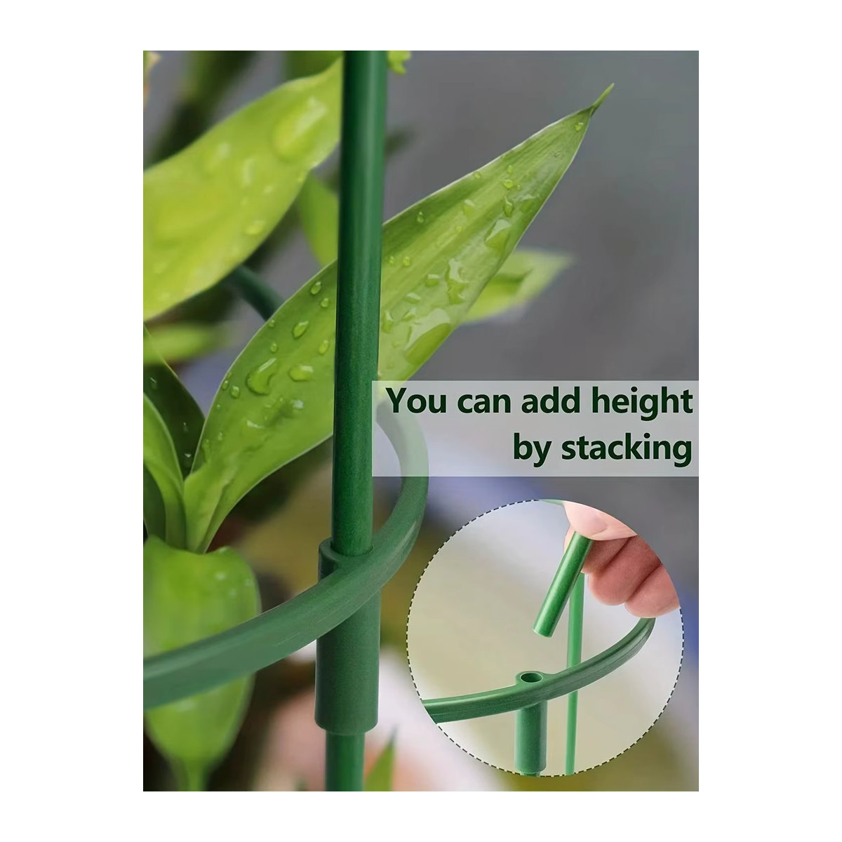 12/20 Stück halbrunde Pflanzenstützpfähle für Innen- und Außenpflanzen wie Tomaten, Monstera, Pfingstrosen und Hortensien - Bild 7