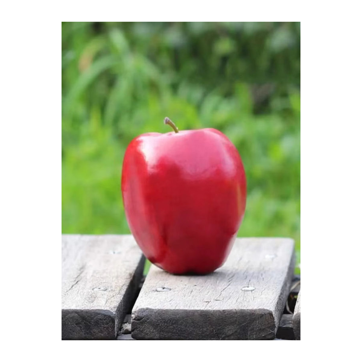 12 Stück künstliche rote Äpfel als Dekoration für Küche und Garten sowie als Requisiten für Fotografie und Party - Bild 6