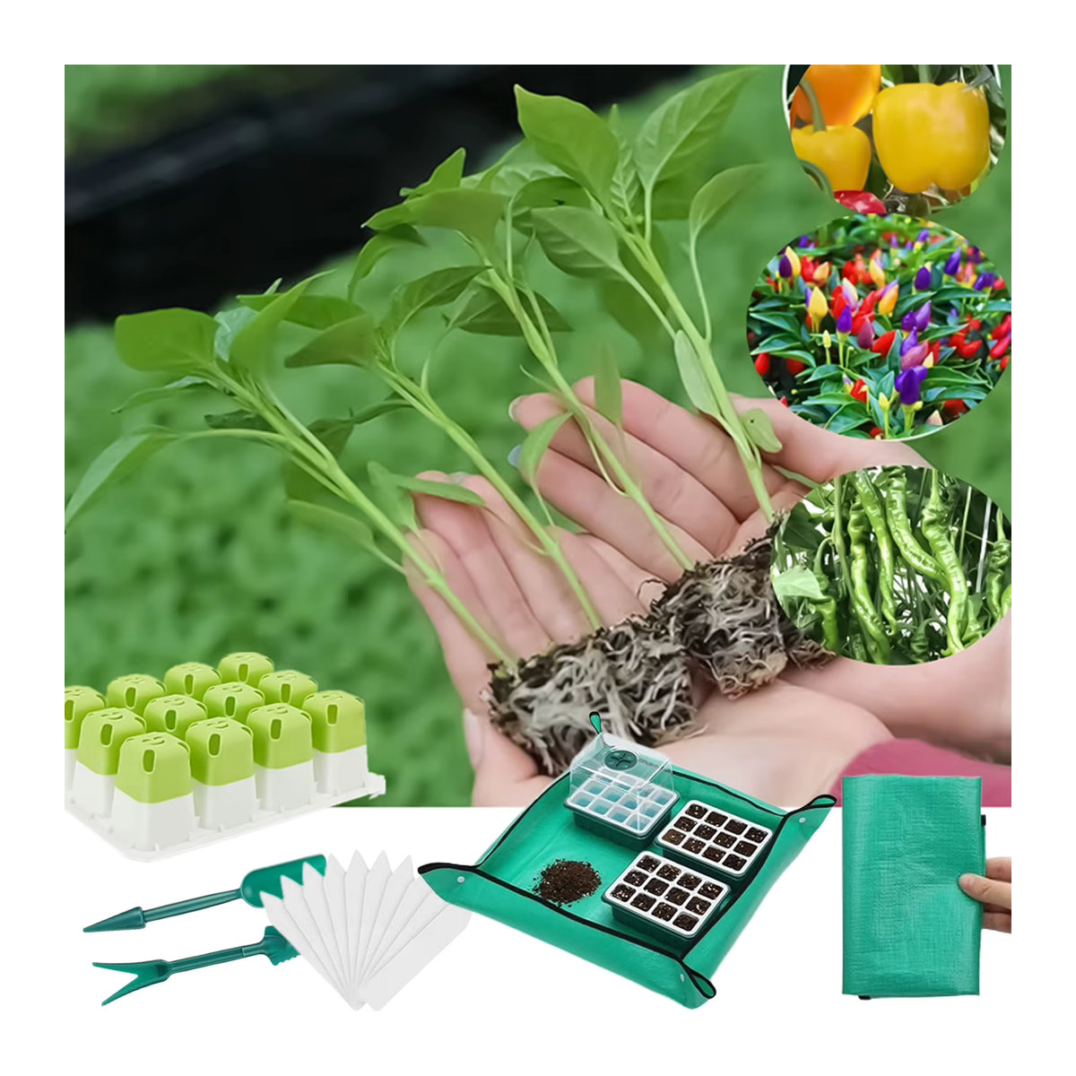 12 Stück Silikon Pflanztöpfe für Setzlinge mit atmungsaktivem Design und Drainagelöchern zum Anpflanzen von Blumen und Gemüse - Bild 3