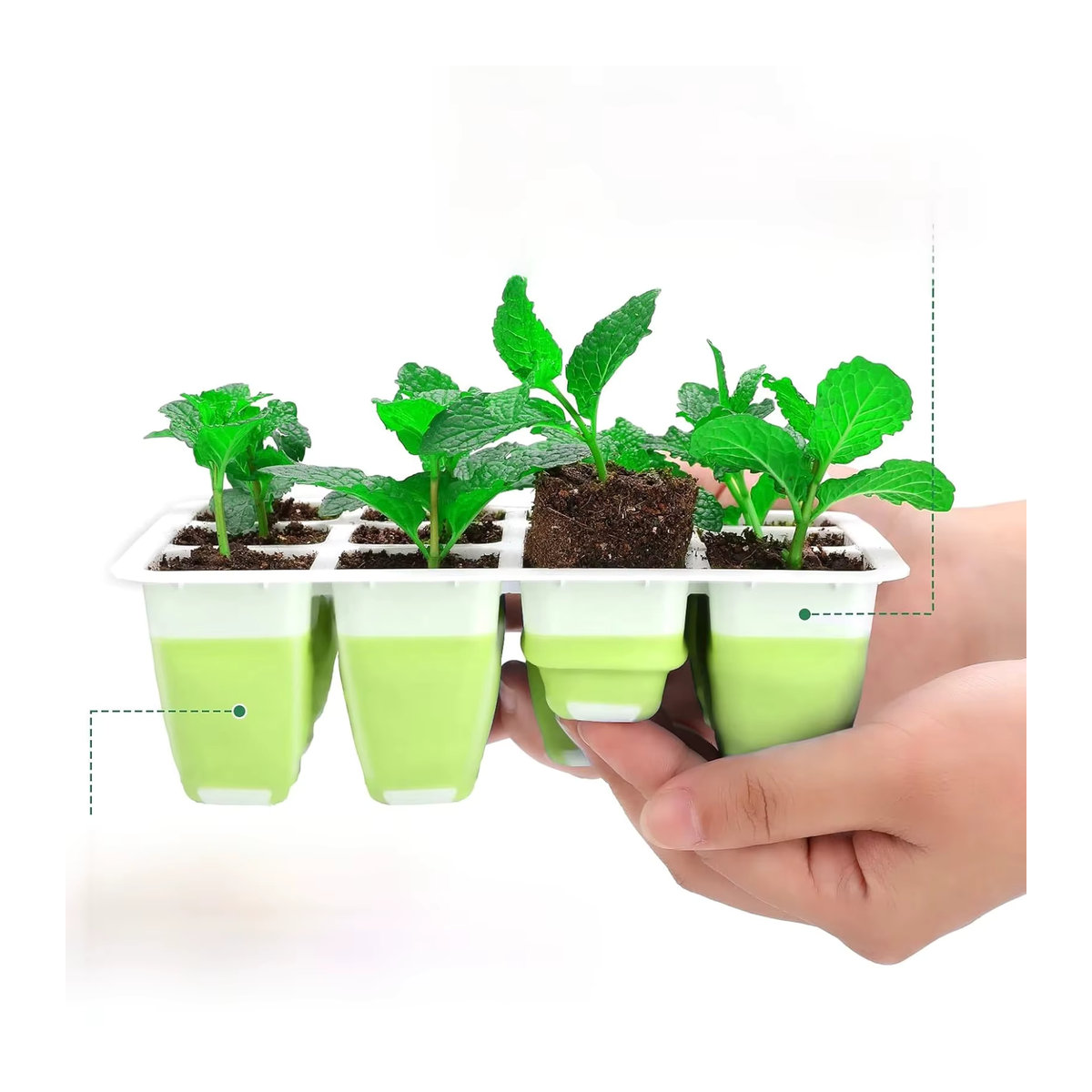 12 Stück Silikon Pflanztöpfe für Setzlinge mit atmungsaktivem Design und Drainagelöchern zum Anpflanzen von Blumen und Gemüse - Bild 5