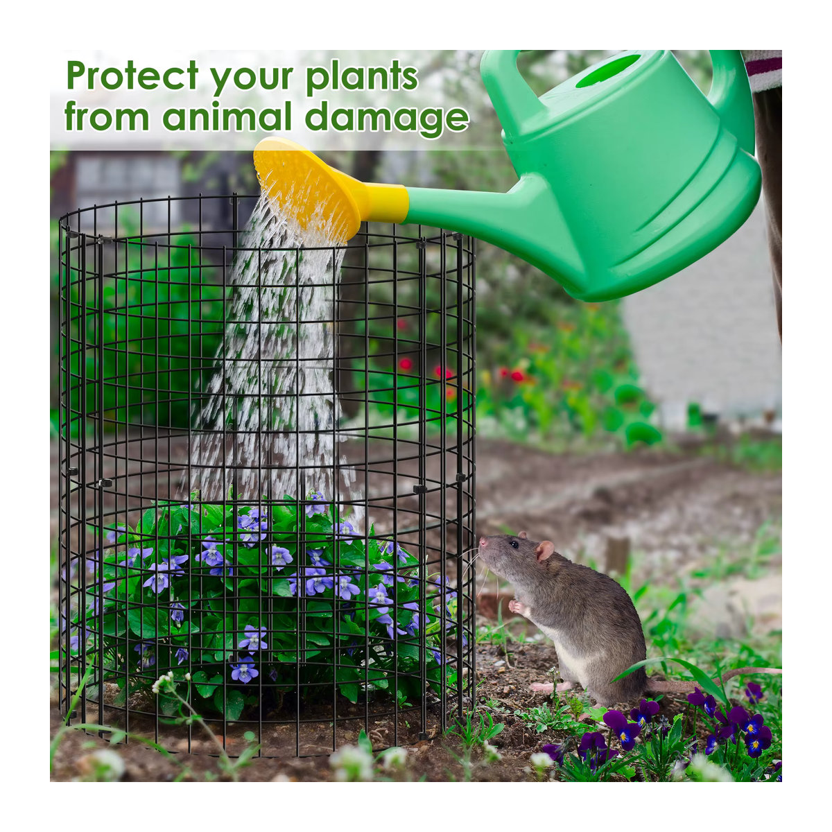 15 Stück Pflanzenkäfige aus rostfreiem Eisengeflecht als Pflanzenschutz und Abdeckung für Gartenpflanzen und Blumentöpfe - Bild 3