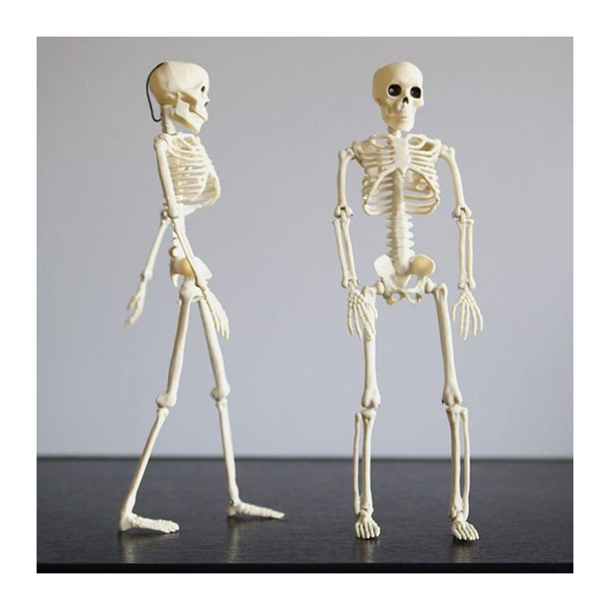 2 Stück Halloween Skelett Dekorationen mit beweglichen Gelenken aus Kunststoff in Weiß und Beige - Bild 1