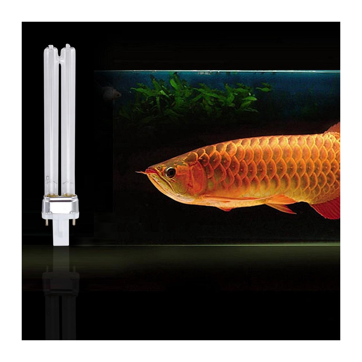 2 Stück Superme Live UV-Lichtbirnen für Aquarium mit G23 Lampenfassung, 11W UV-Sterilisator aus Glas und Quarz - Bild 3