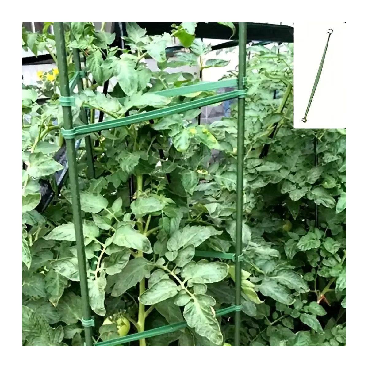 20 Stück Gartenpflanzen Stützverbinder aus flexiblem Kunststoff für Tomatenkäfige und Gurkengitter im Gewächshaus - Bild 1