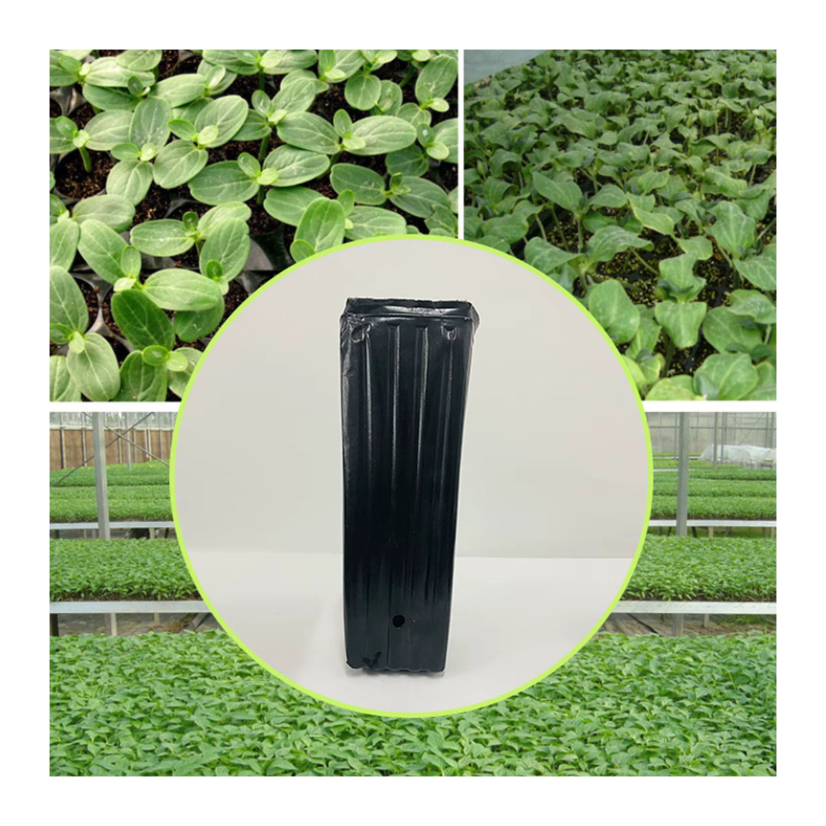 20 Stück hohe und tiefe Baumtöpfe für Pflanzen und Setzlinge im Garten - Bild 5