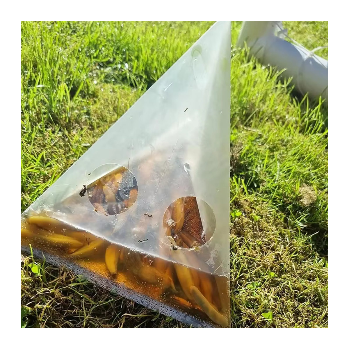 20 Stück Schneckenfallen für den Garten zur Bekämpfung von Schnecken und Nacktschnecken als Einweg-Schneckenfängerbeutel - Bild 2