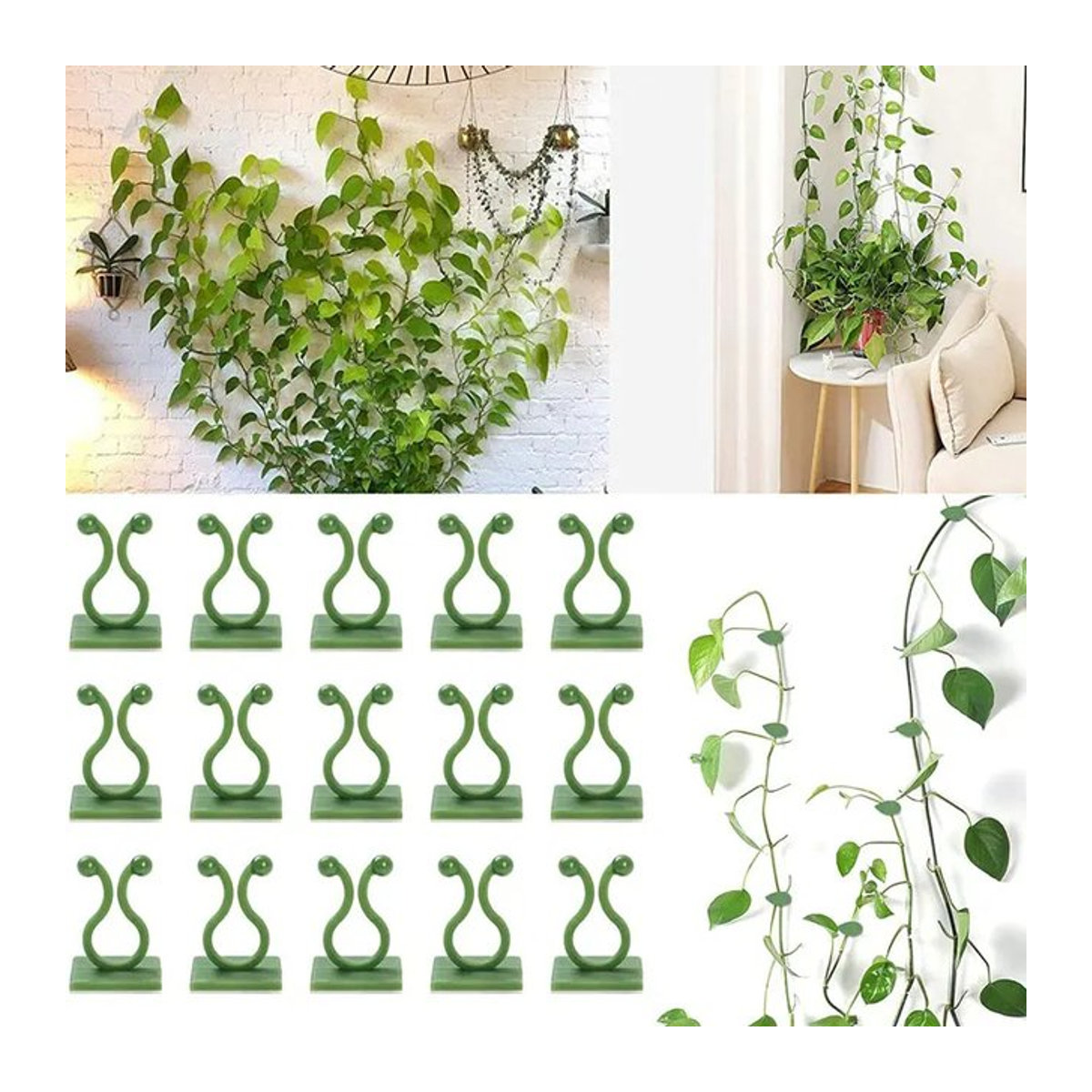 20 Stück selbstklebende Pflanze Kletterwand Befestigung Clips für Rattan und Reben zur unsichtbaren Garten Wandbefestigung - Bild 1