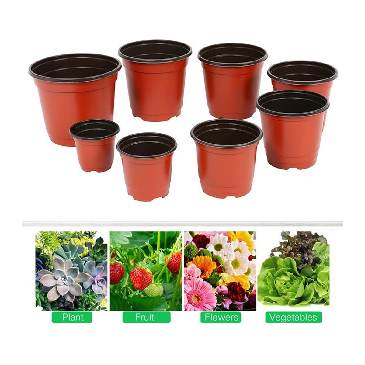 20 Stück wiederverwendbare Kindergartentöpfe in Rot und Schwarz als Samen-Starterschalen für Hydrokultur und Blumenanbau - Bild 1