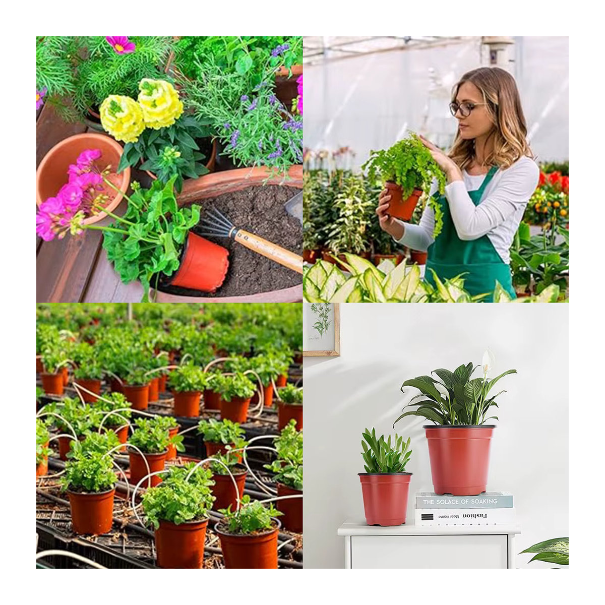20 Stück wiederverwendbare Kindergartentöpfe in Rot und Schwarz als Samen-Starterschalen für Hydrokultur und Blumenanbau - Bild 4
