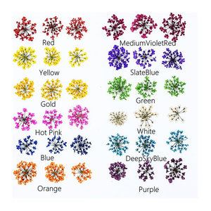 24 Stück natürliche getrocknete Blumen von SNASAN in Gelb und Mehrfarbig, 2–2,5 cm Spitzenblumen für DIY-Projekte, Kunstharz und Glaskugel-Füllzubehör