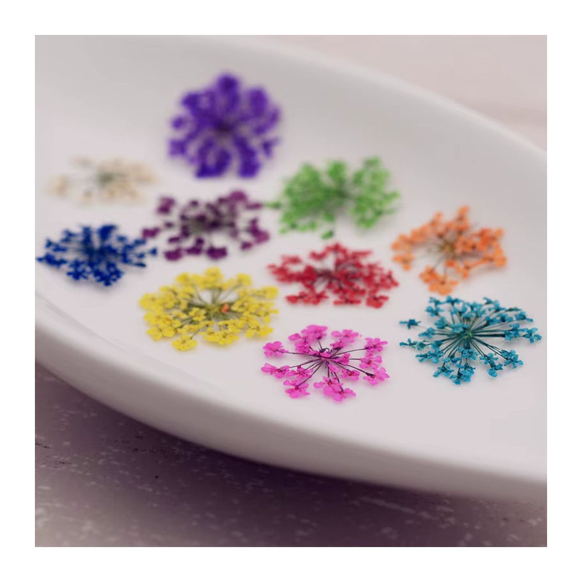 24 Stück natürliche getrocknete Blumen von SNASAN in Gelb und Mehrfarbig, 2–2,5 cm Spitzenblumen für DIY-Projekte, Kunstharz und Glaskugel-Füllzubehör - Bild 2