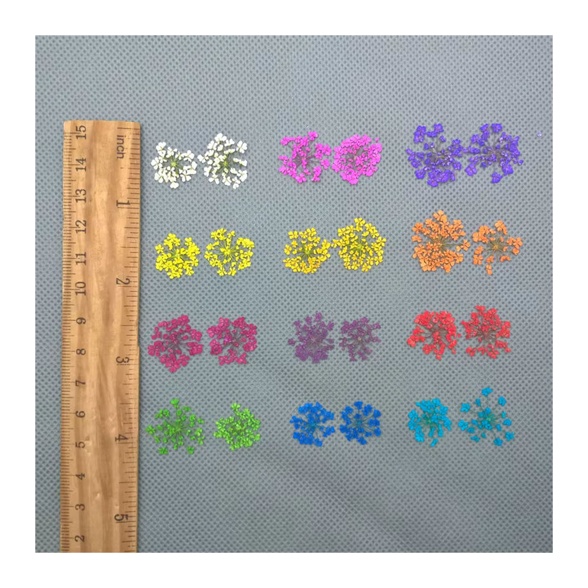 24 Stück natürliche getrocknete Blumen von SNASAN in Gelb und Mehrfarbig, 2–2,5 cm Spitzenblumen für DIY-Projekte, Kunstharz und Glaskugel-Füllzubehör - Bild 3