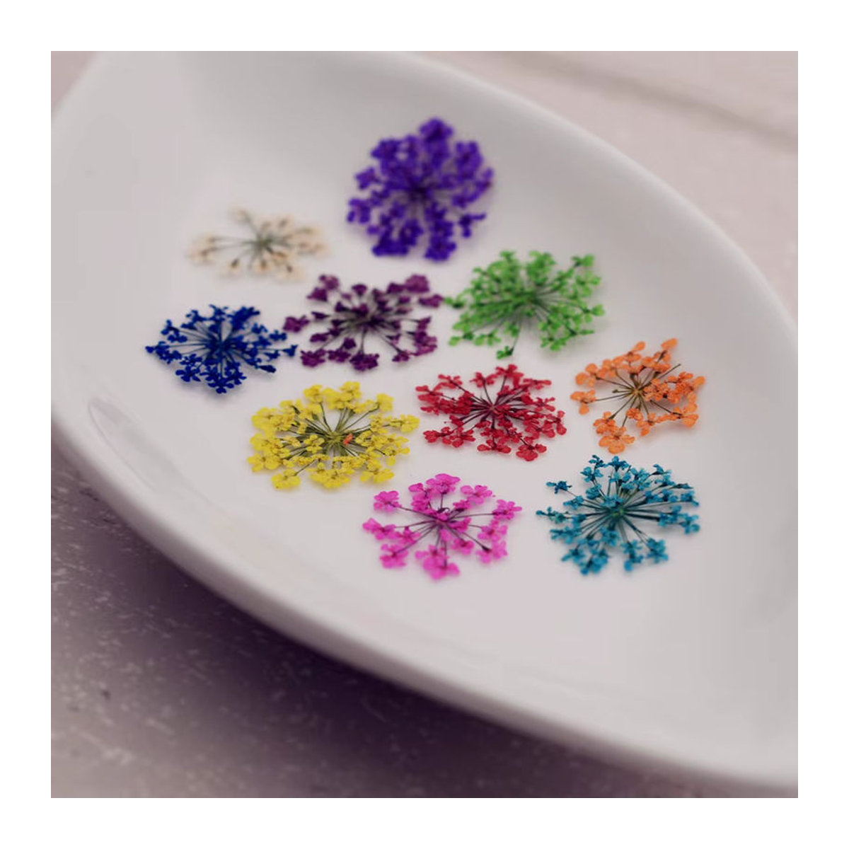 24 Stück natürliche getrocknete Blumen von SNASAN in Gelb und Mehrfarbig, 2–2,5 cm Spitzenblumen für DIY-Projekte, Kunstharz und Glaskugel-Füllzubehör - Bild 4
