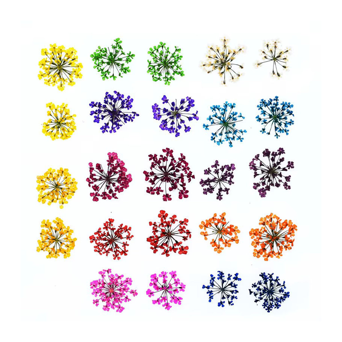 24 Stück natürliche getrocknete Blumen von SNASAN in Gelb und Mehrfarbig, 2–2,5 cm Spitzenblumen für DIY-Projekte, Kunstharz und Glaskugel-Füllzubehör - Bild 5