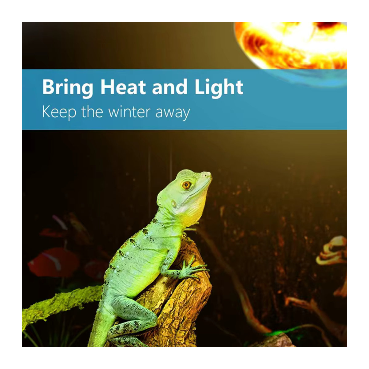 2er-Pack UVB UVA Wärme Lampe für Reptilien, Amphibien und Vögel mit 100 W Sonnenlicht-Effekt - Bild 3