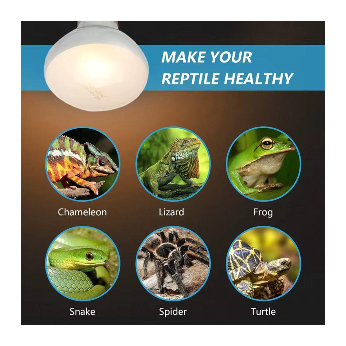 2er-Pack UVB UVA Wärme Lampe für Reptilien, Amphibien und Vögel mit 100 W Sonnenlicht-Effekt - Bild 6