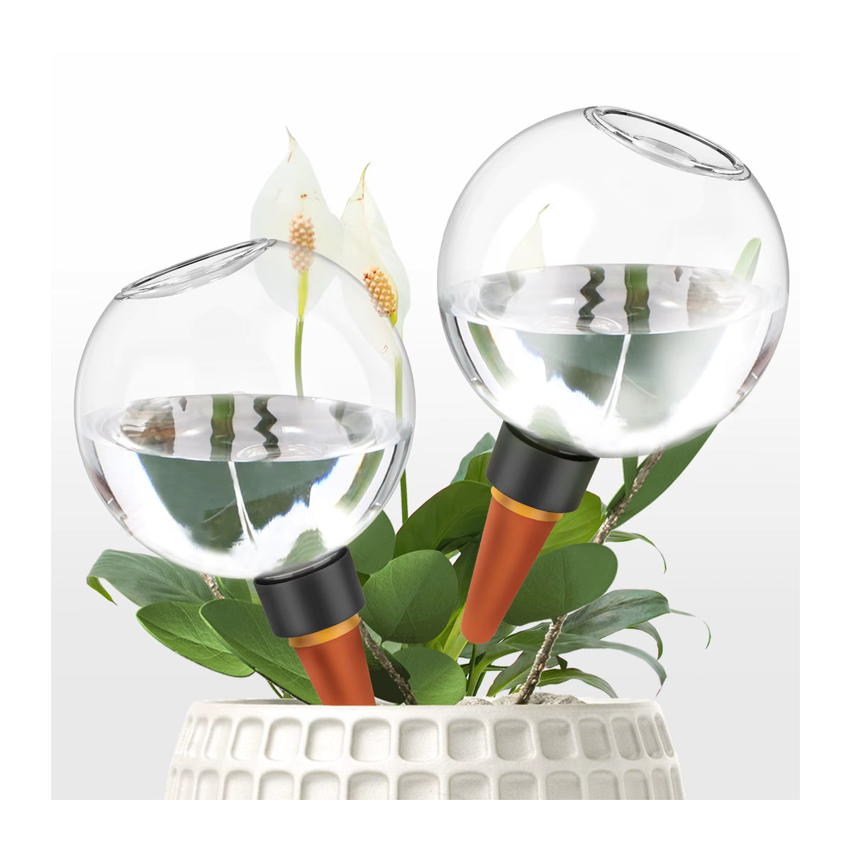 2er-Set Automatische Bewässerungskugeln für Pflanzen und Blumen mit 500 ml Tropfbewässerungssystem - Bild 2
