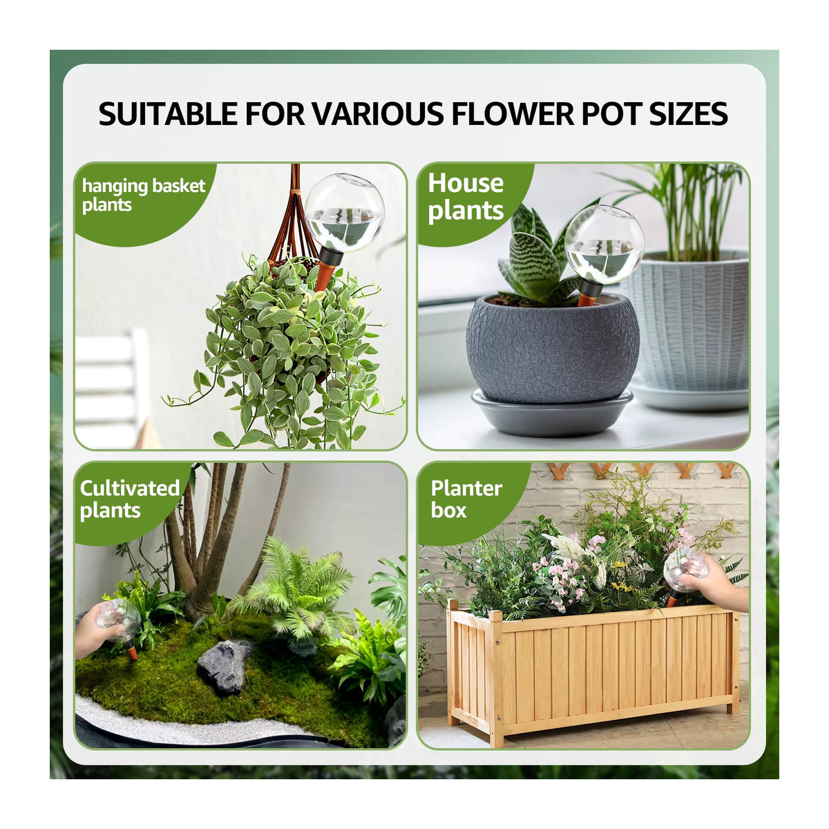 2er-Set Automatische Bewässerungskugeln für Pflanzen und Blumen mit 500 ml Tropfbewässerungssystem - Bild 6