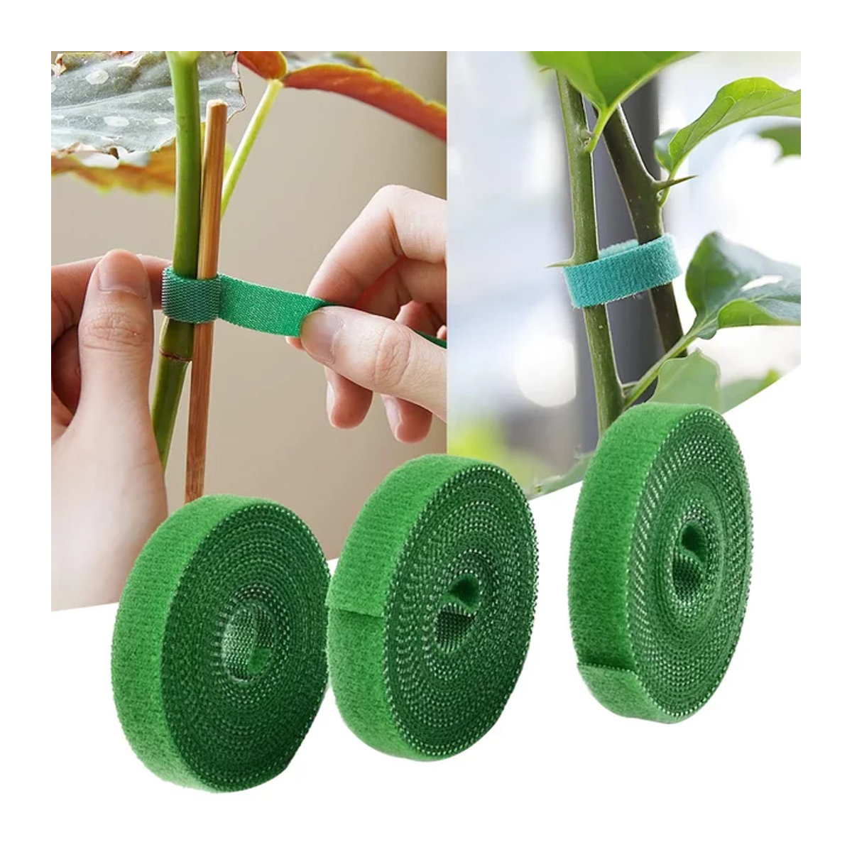 3 Rollen grüne Gartenschnur aus Nylon als Pflanzenbinder und Pflanzenverband mit 2 Meter Länge für die Unterstützung deiner Pflanzen und Gartenarbeit - Bild 1