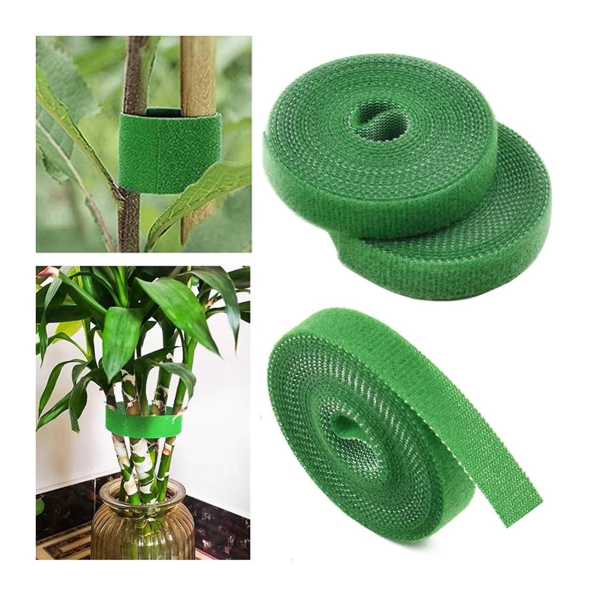 3 Rollen grüne Gartenschnur aus Nylon als Pflanzenbinder und Pflanzenverband mit 2 Meter Länge für die Unterstützung deiner Pflanzen und Gartenarbeit - Bild 2