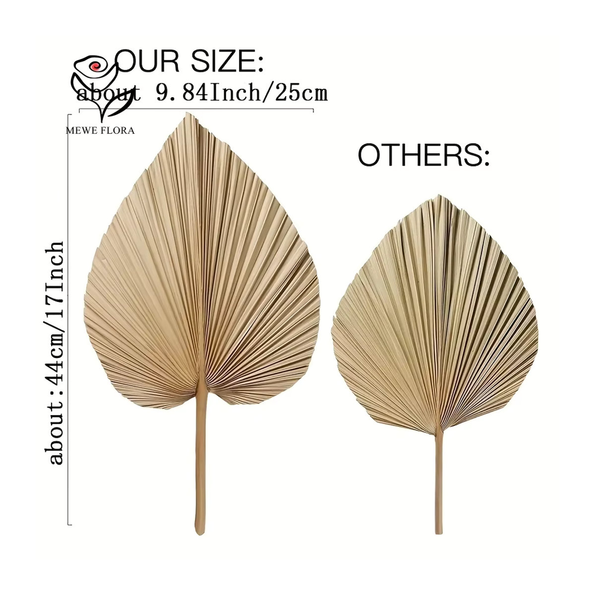 35 Stück YN HI FLOWER beige Pampasgras als getrockneter Blumenstrauß für deine Boho-Heimdekoration - Bild 5