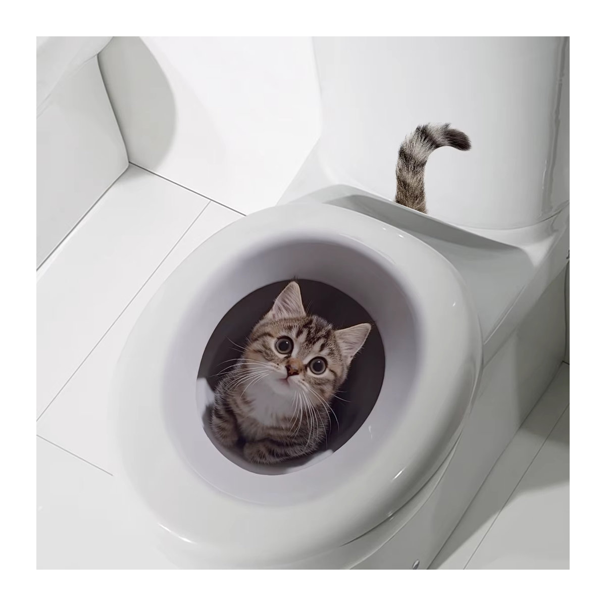 3D Katzen Wandaufkleber mit Lochansicht aus Kunststoff, Mehrfarbig, B/H: 40 x 30 cm - Bild 6