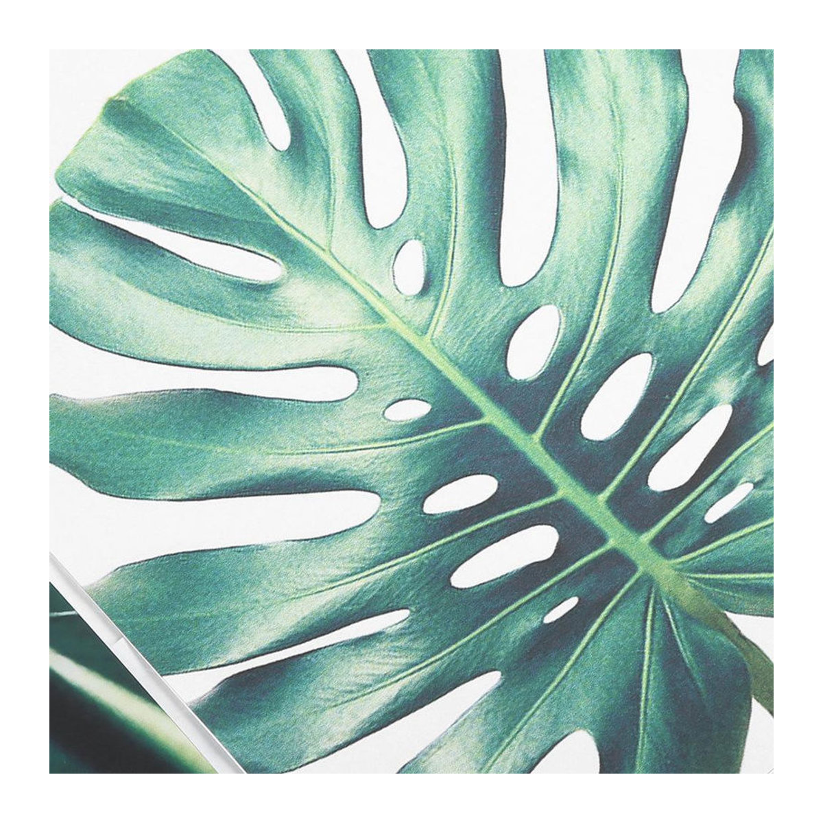 3er-Set CosyHome Leinwandbilder mit grünem Blättermuster, moderne florale Wandkunst für dein Heim oder Büro, B/H: 40 x 50 cm - Bild 3