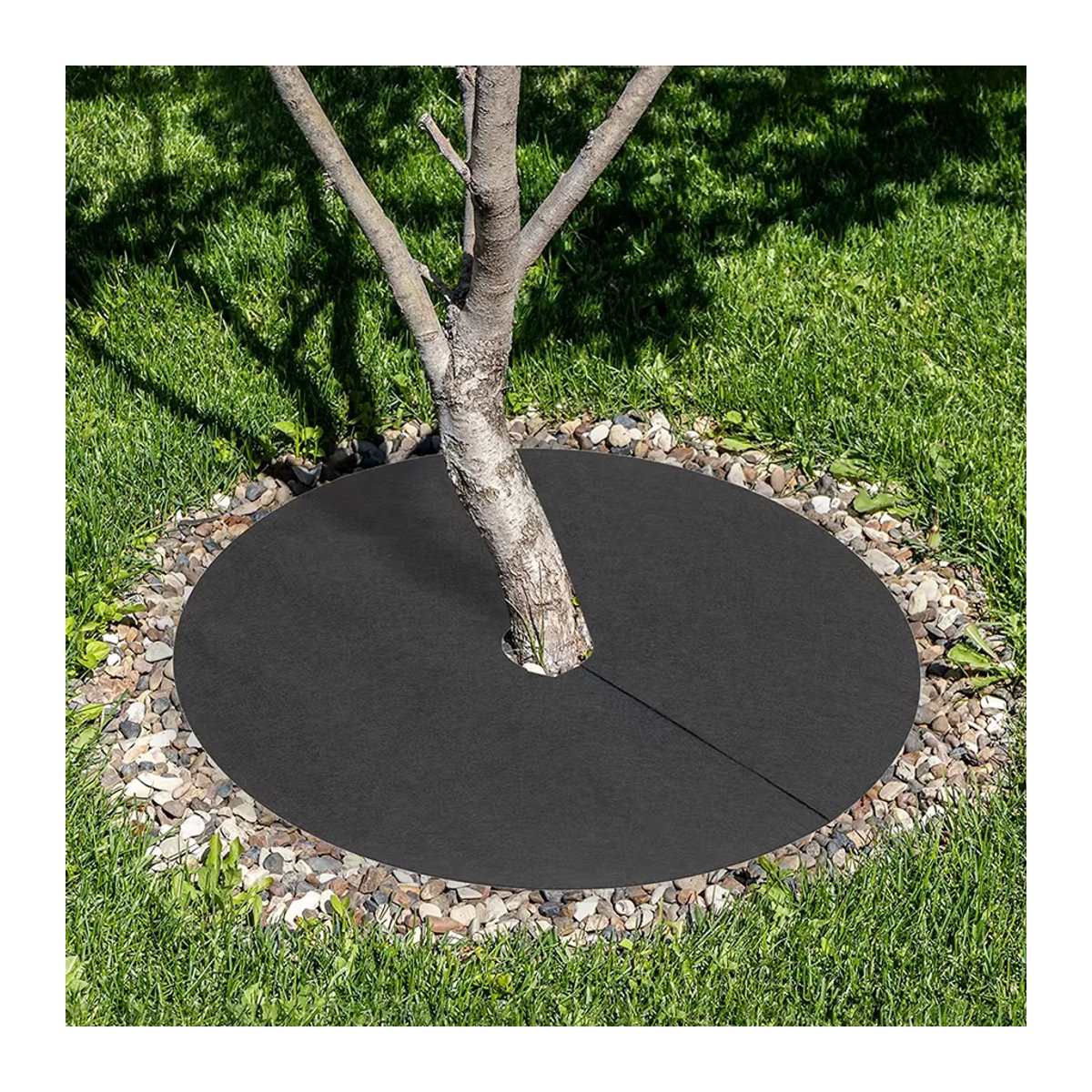 3er-Set Vlies Mulchringe aus Baumwolle als Unkrautbarriere und Schutzmatte für deine Anpflanzungen, Durchmesser: 62 cm bis 122 cm - Bild 4
