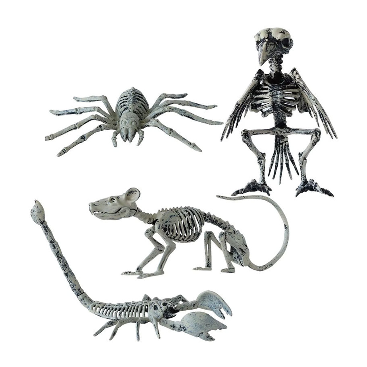 4er-Set Halloween Tier-Skelett Ornamente aus Kunststoff in Weiß für Dekorationen wie Spinne, Krähe und Ratte - Bild 3