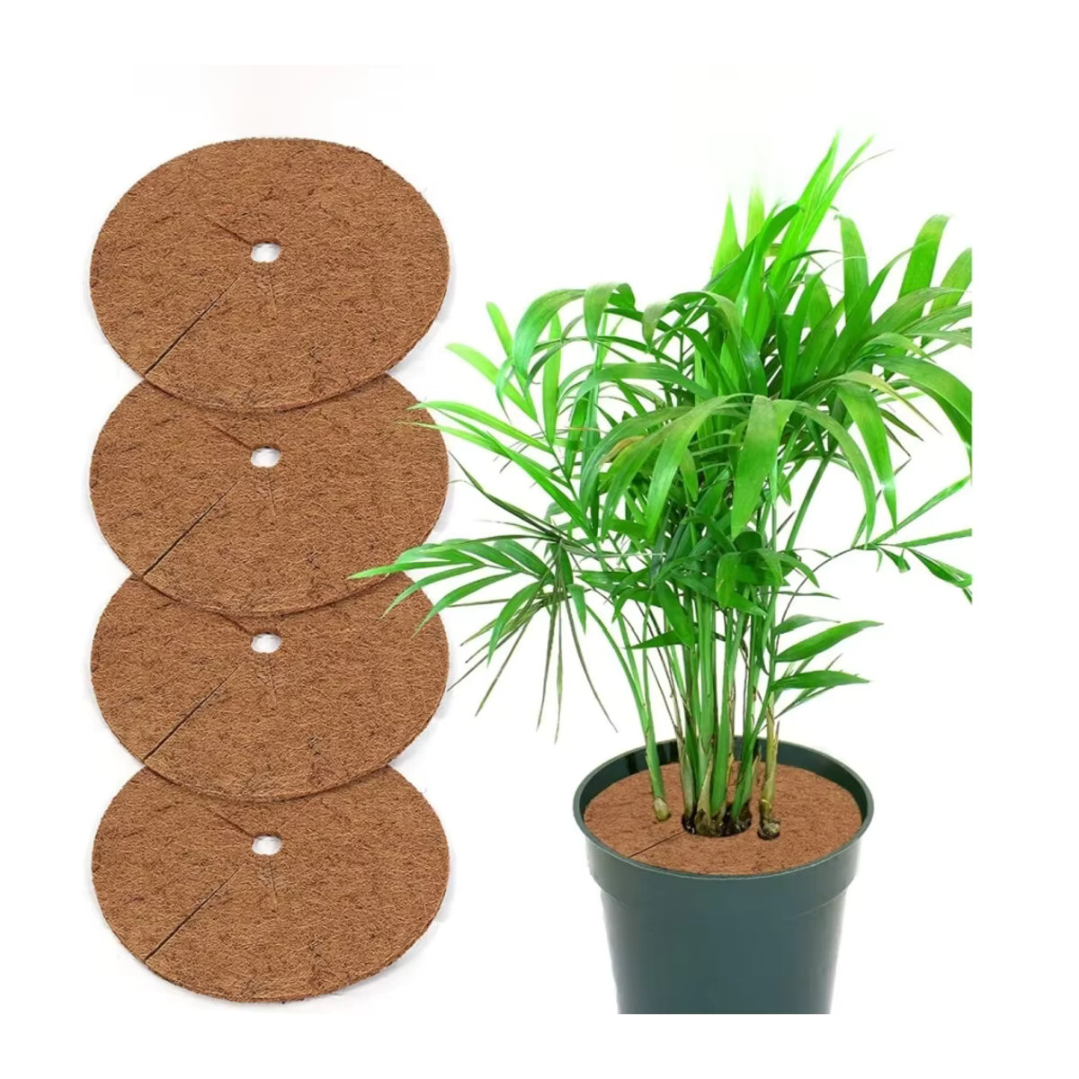4er-Set Natürliche Kokosfaser Mulchringe als Pflanzenprotektoren für Indoor und Outdoor, Durchmesser: 20 cm, 30 cm, 45 cm und 60 cm - Bild 6