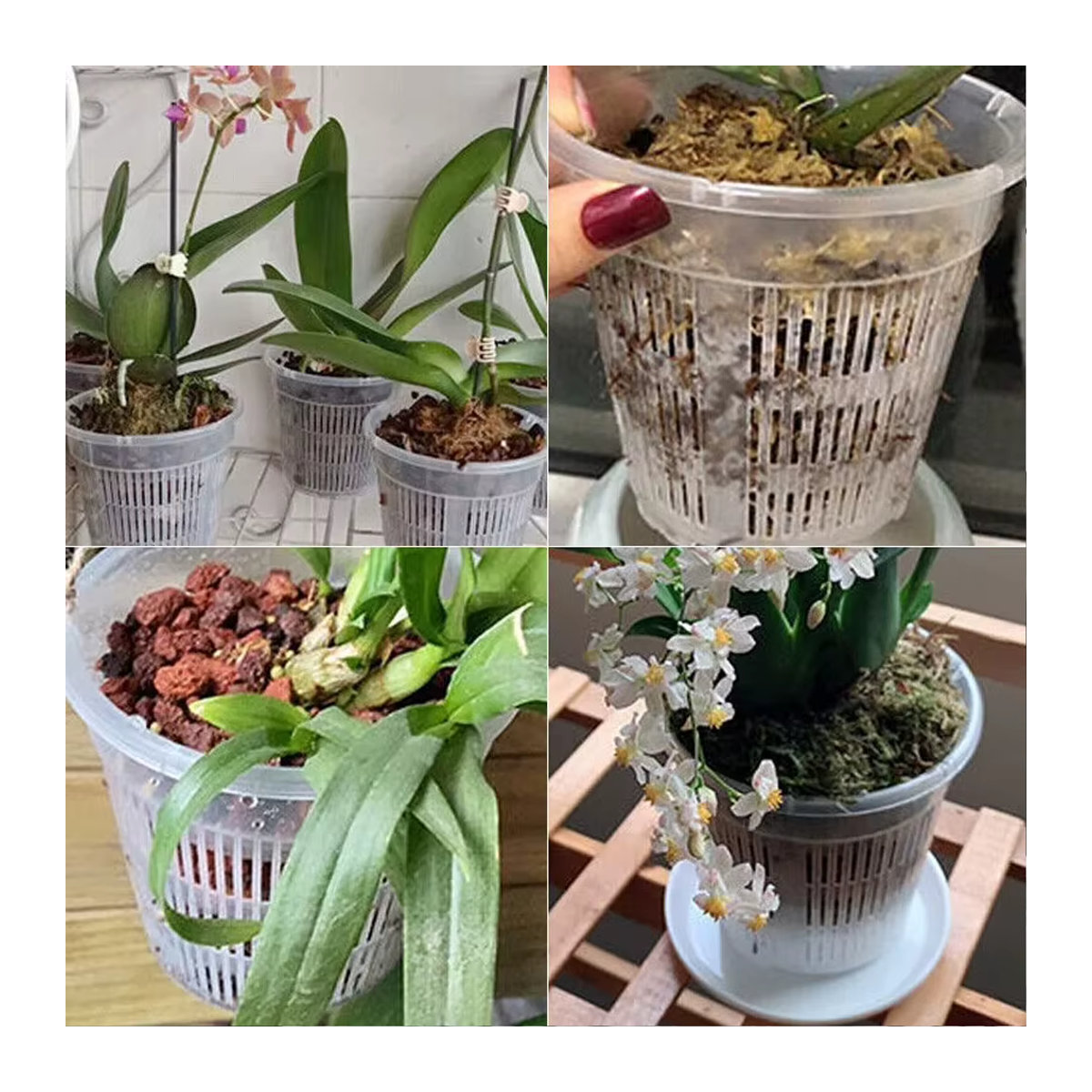 5 Stück LEENKEA Pflanzentöpfe aus transparentem Kunststoff mit Untersetzer und Belüftungslöchern für Orchideen und Gartenpflanzen - Bild 5