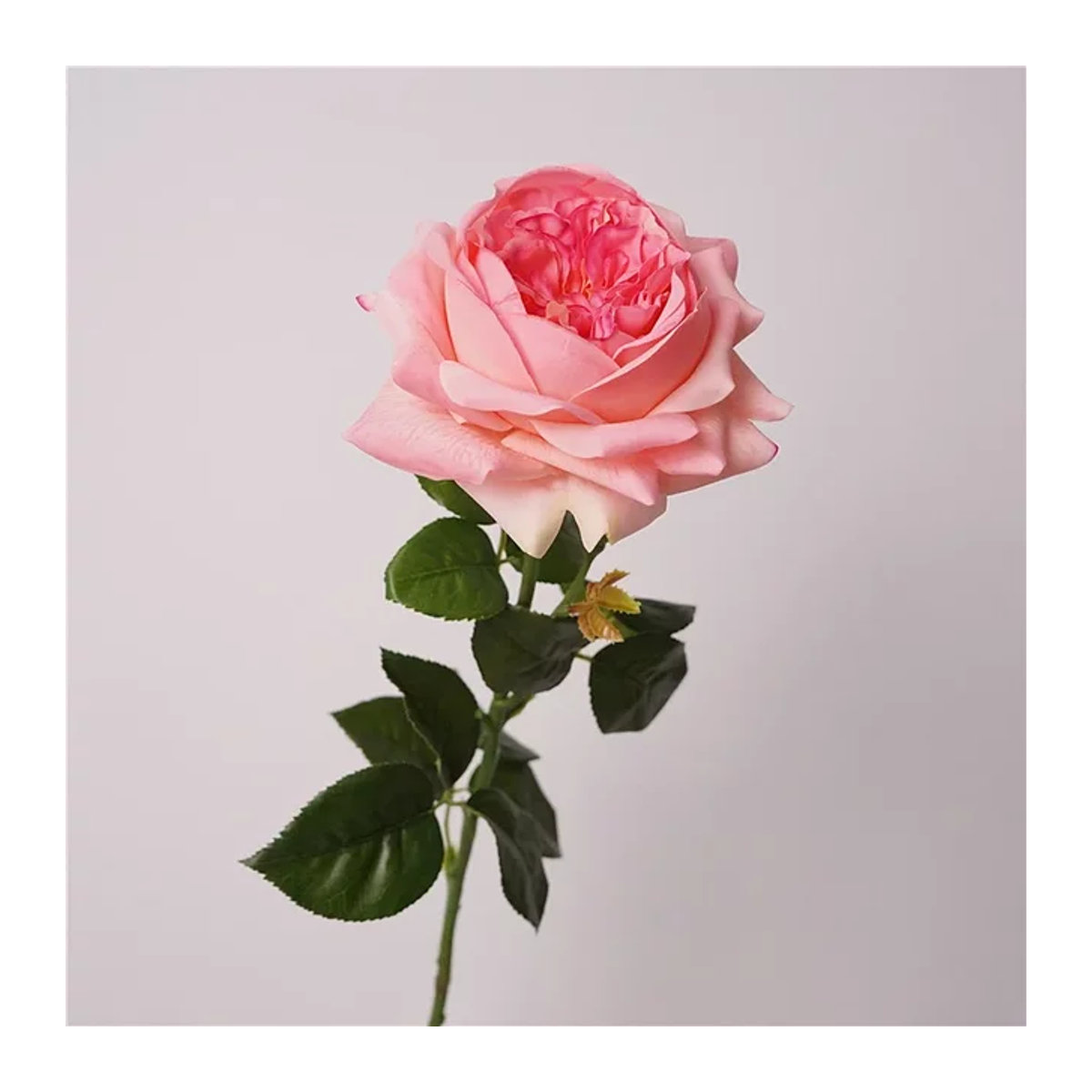 5 Stück LINANUO Latex Rosen als künstliche Blumen in Rot und Rosa für Hochzeit und Dekoration - Bild 1