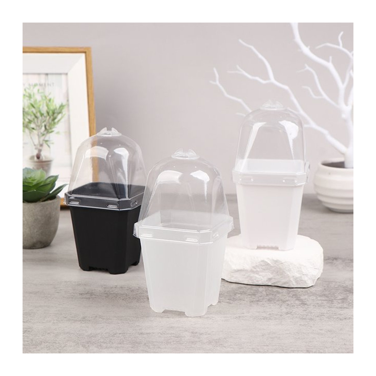 5 Stück quadratische transparente Blumentöpfe mit Feuchtigkeitskuppel für Kindergärten und Gartenarbeit - Bild 1