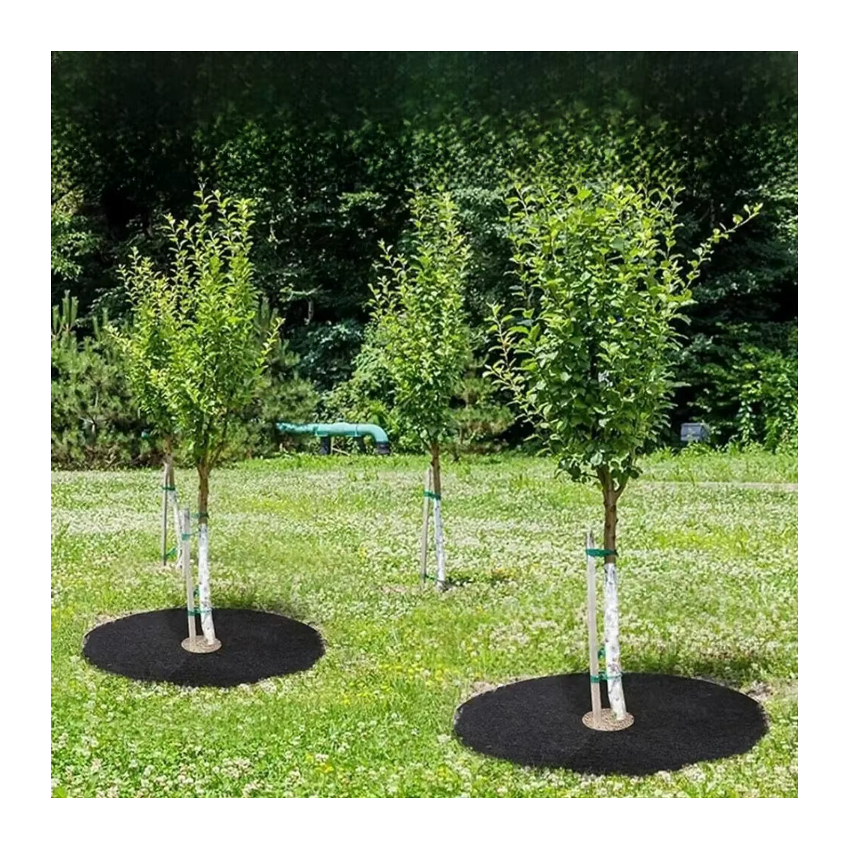 5 Stück Vlies Mulchringe als Unkrautbarriere und runde Bodendecker zum Schutz deiner Pflanzen in der Gartenarbeit - Bild 6