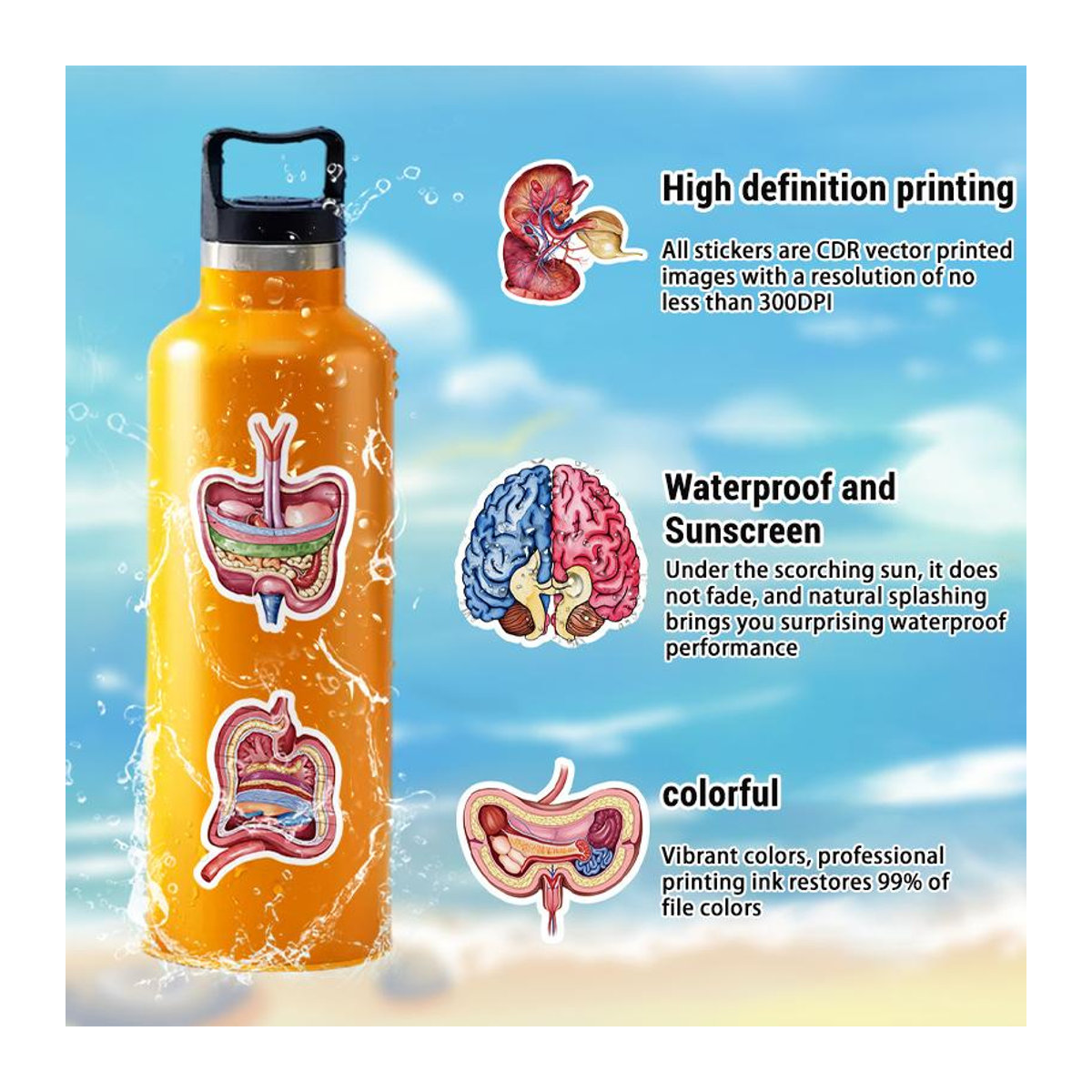 50 Stück Anatomie Aufkleber mit menschlichen Organen von Fashnics, wasserfeste Vinyl-Aufkleber für Studenten und Pflegekräfte, mehrfarbig - Bild 4