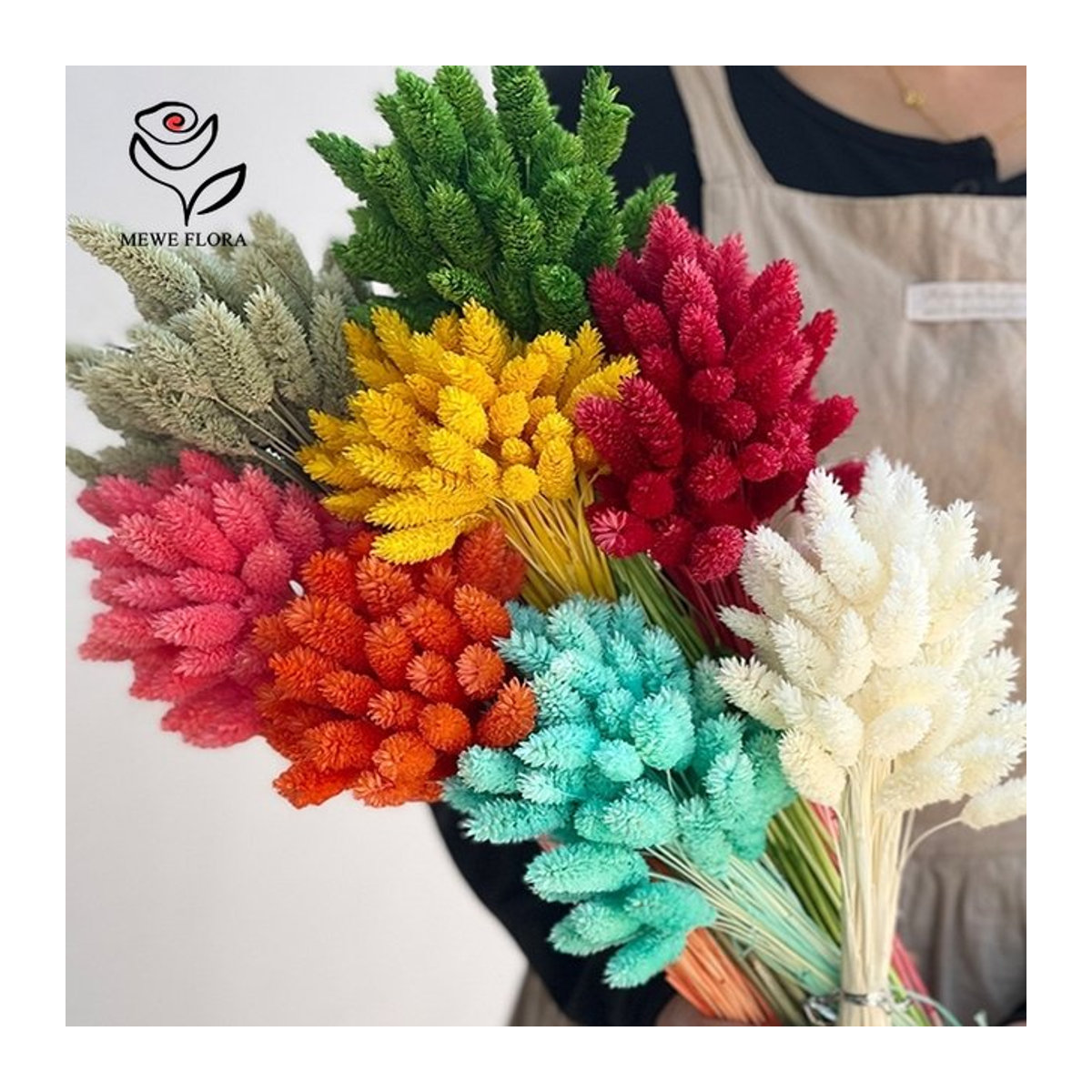 50 Stück getrocknete Phalaris-Gräser als Boho Bouquet in Lila und Mehrfarbig für deine Vase und Hochzeitsdekoration - Bild 1