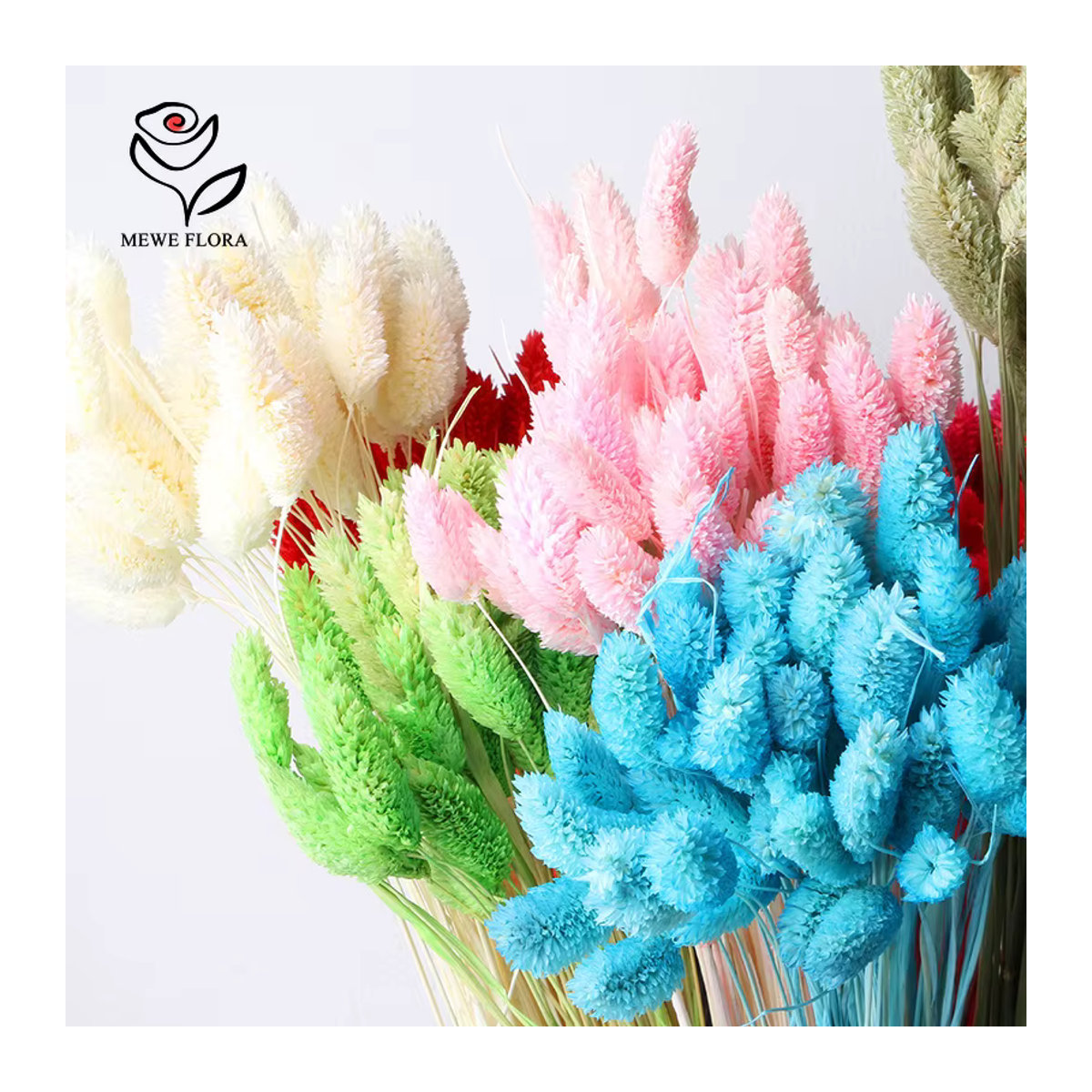 50 Stück getrocknete Phalaris-Gräser als Boho Bouquet in Lila und Mehrfarbig für deine Vase und Hochzeitsdekoration - Bild 2
