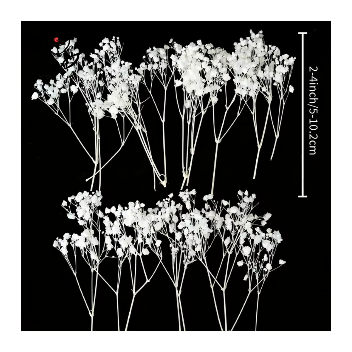 50 Stück getrocknete Schleierkraut-Blumen von YN HI FLOWER in Weiß und Lila für DIY-Dekorationen und Hochzeiten - Bild 4