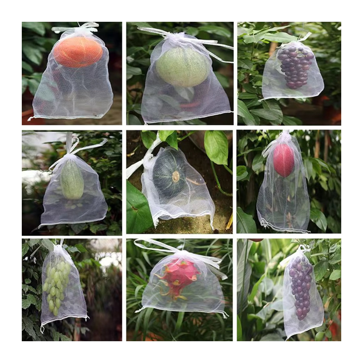 50 Stück XJM Pflanzenschutznetz für Obst und Gemüse als Vogel- und Insektenschutz, atmungsaktive Netzbeutel für den Garten und Obstgarten - Bild 4