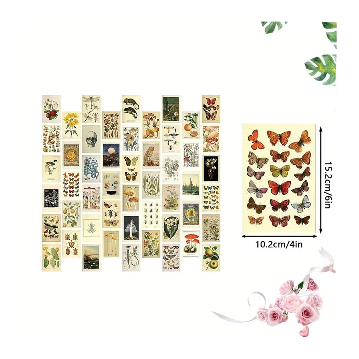 50-teiliges Set Vintage-Sammelkarten mit floralen Motiven wie Pflanzen, Schmetterlingen und Pilzen in Mehrfarbig, Rechteckig - Bild 2