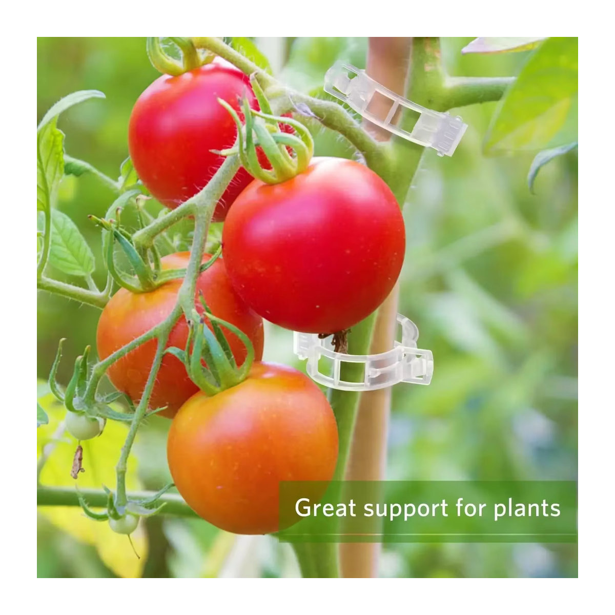 500 Stück Pflanzenclips aus Kunststoff zur Befestigung von Reben, Tomaten und Gemüse für die Gartenarbeit - Bild 2