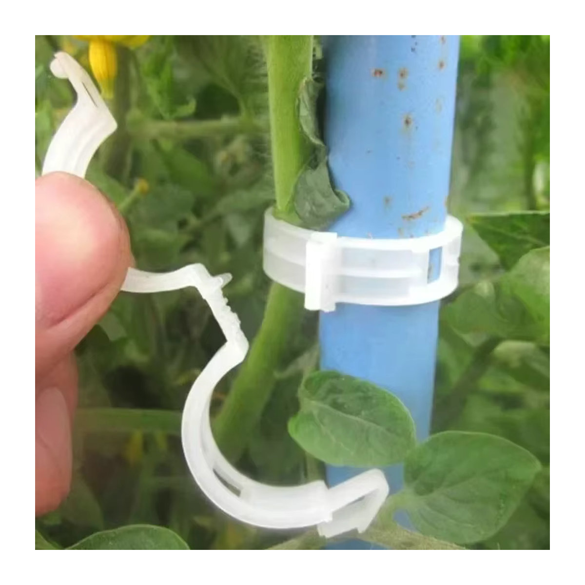 500 Stück Pflanzenclips aus Kunststoff zur Befestigung von Reben, Tomaten und Gemüse für die Gartenarbeit - Bild 4