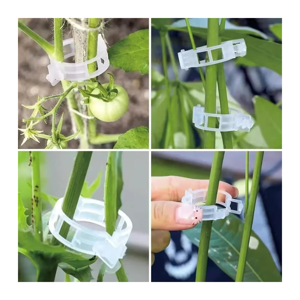 500 Stück Pflanzenclips aus Kunststoff zur Befestigung von Reben, Tomaten und Gemüse für die Gartenarbeit - Bild 5