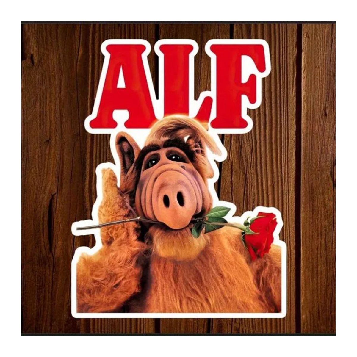 5er Set Alf Wasserdichte Vinylaufkleber im 80er Retro-Stil, Mehrfarbige Vintage-Aufkleber für Erwachsene - Bild 1