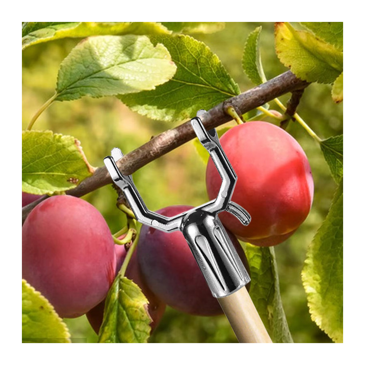 5er Set Baumstützen aus Metalllegierung für Garten und Obstbäume zur Unterstützung von Pflanzen und Blumen - Bild 2