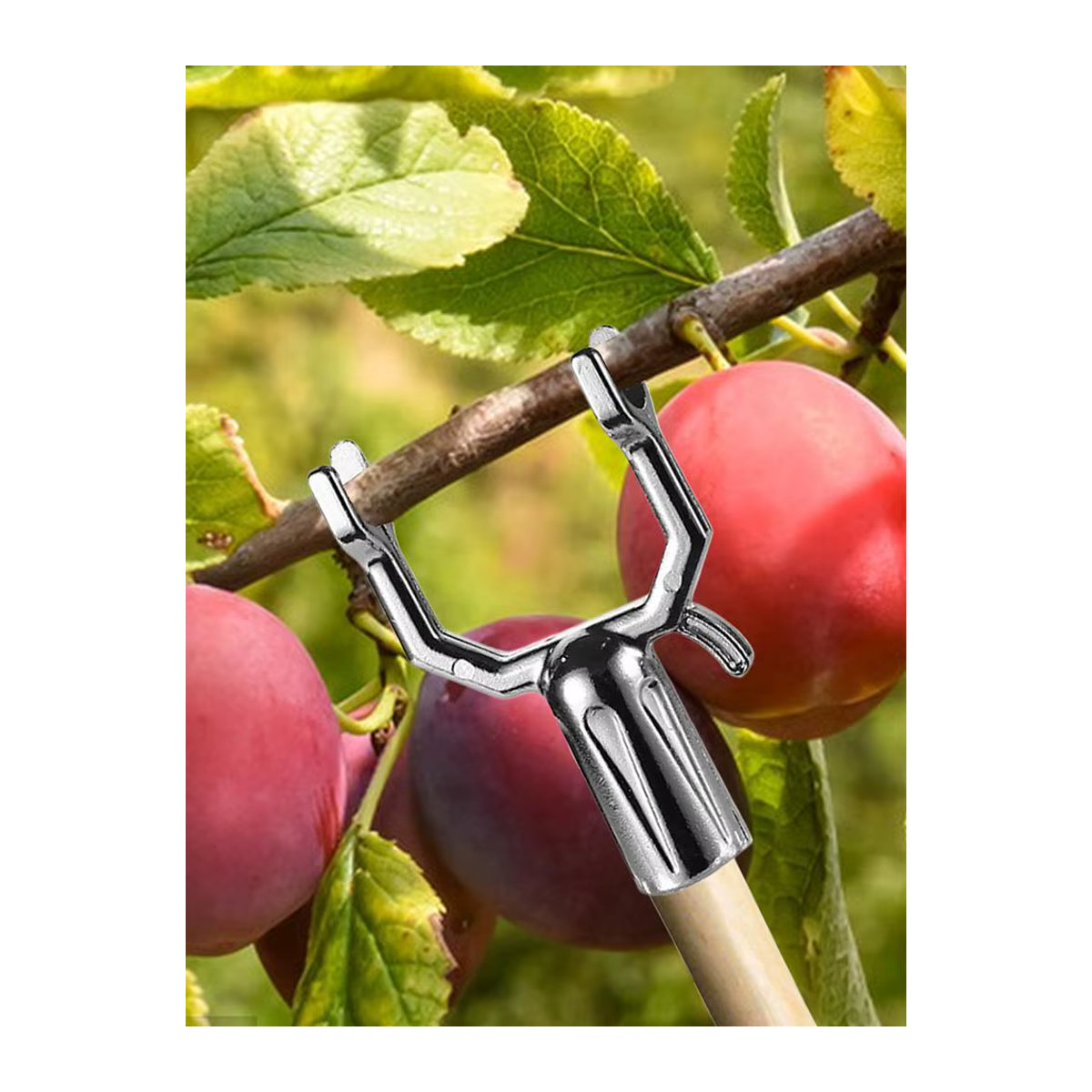5er Set Baumstützen aus Metalllegierung für Garten und Obstbäume zur Unterstützung von Pflanzen und Blumen - Bild 3