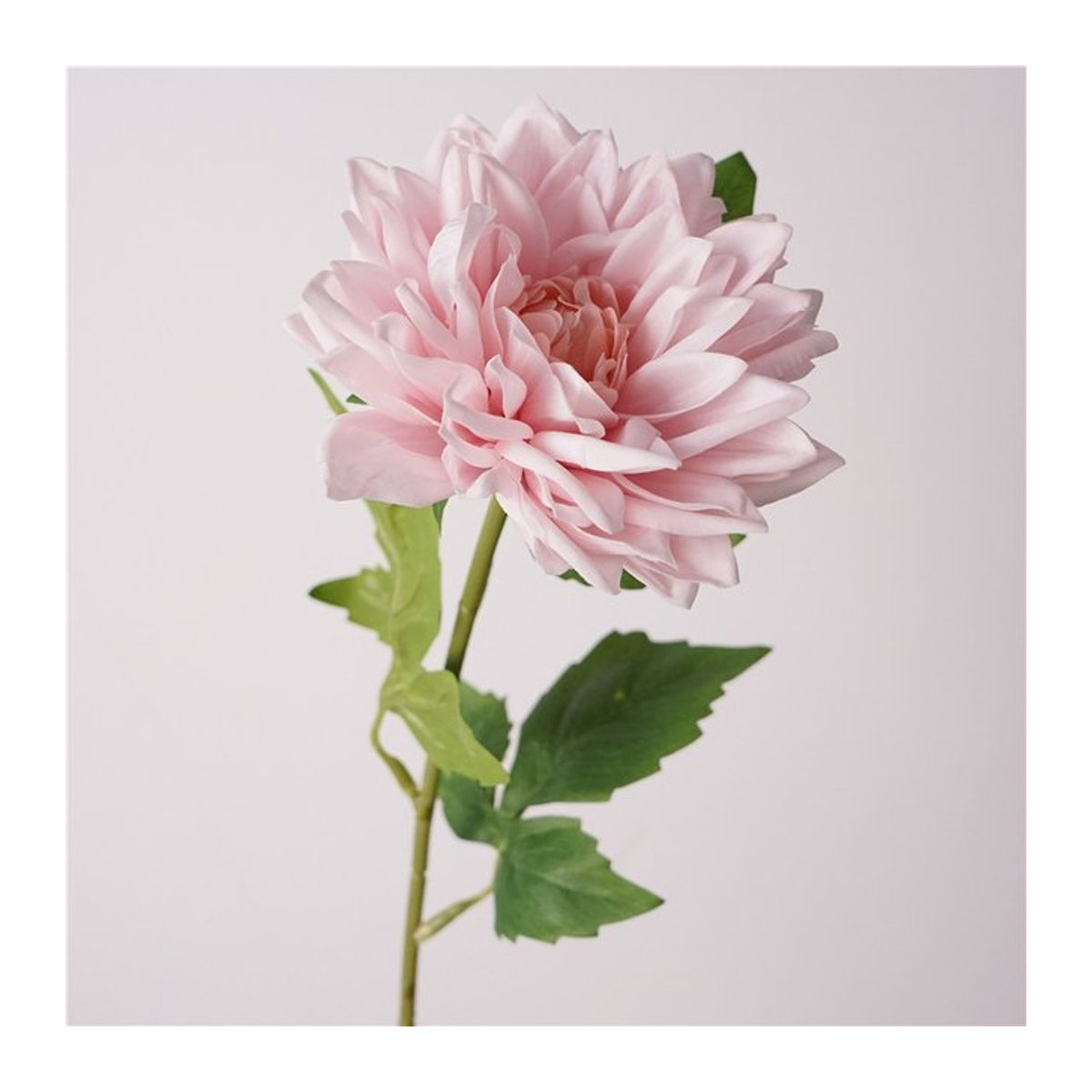 5er Set LINANUO Künstliche Dahlien Real Touch Blumen in Gelb und Rosa für Hochzeitsdekoration und Blumenarrangements - Bild 1
