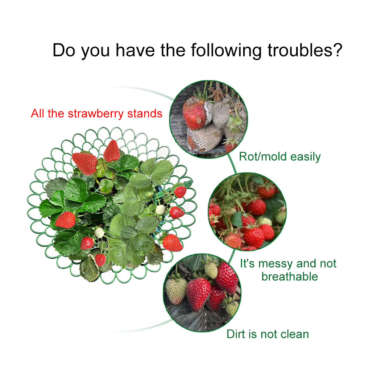 5er Set robuste Erdbeerstützen für Pflanzen und Gemüse im Garten - Bild 4